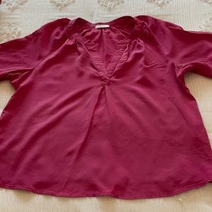 Pink Joie Blouse